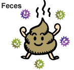 Feces