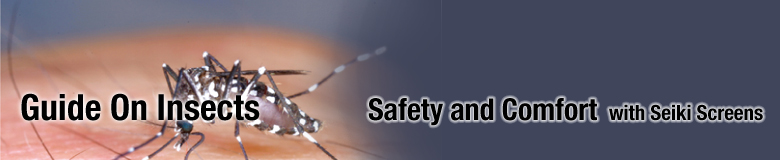 Guide On Insects Safety and Comfort with Seiki Screens