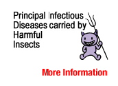 The Principal Infectious Diseases carried by Harmful Insects